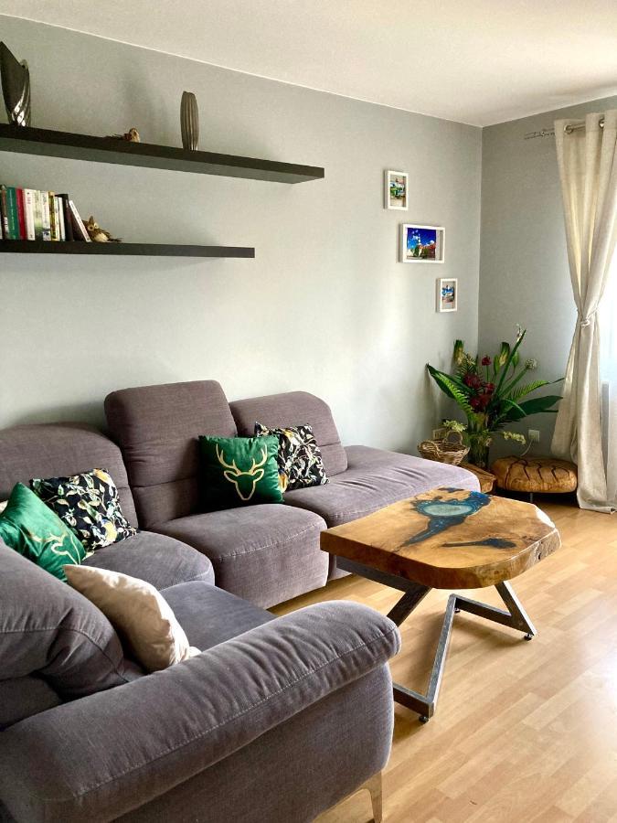 Apartament Deluxe 耶莱尼亚古拉 外观 照片